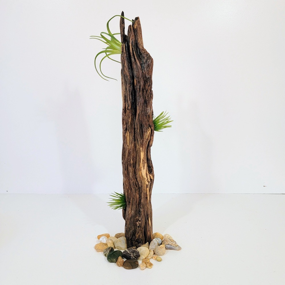 Natural Tall Driftwood Sculpture Rustic Weathered Wood Column Decor air plant